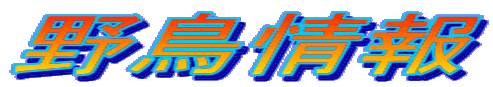 쒹
