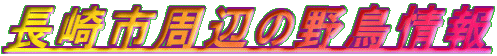 sӂ̖쒹